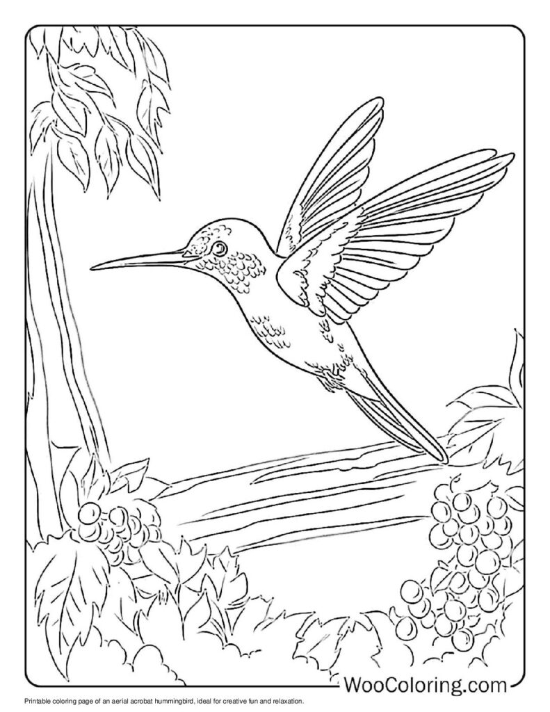 100 Hummingbird Coloring Pages Free PDF To Print Woo Coloring