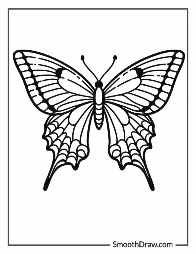 12 Butterfly Coloring Pages Free PDF Printables 