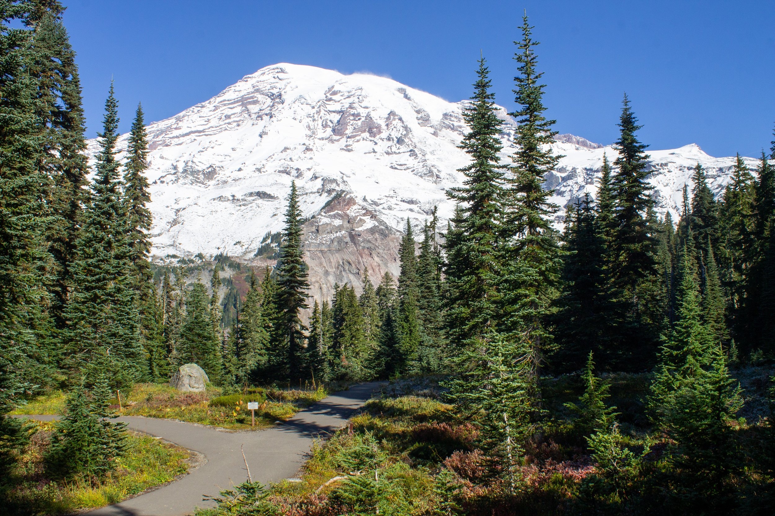 15 Fun And Easy Things To Do At Mt Rainier National Park Pines And Vines 15 Fun And Easy Things To Do At Mt Rainier National Park Pines And Vines