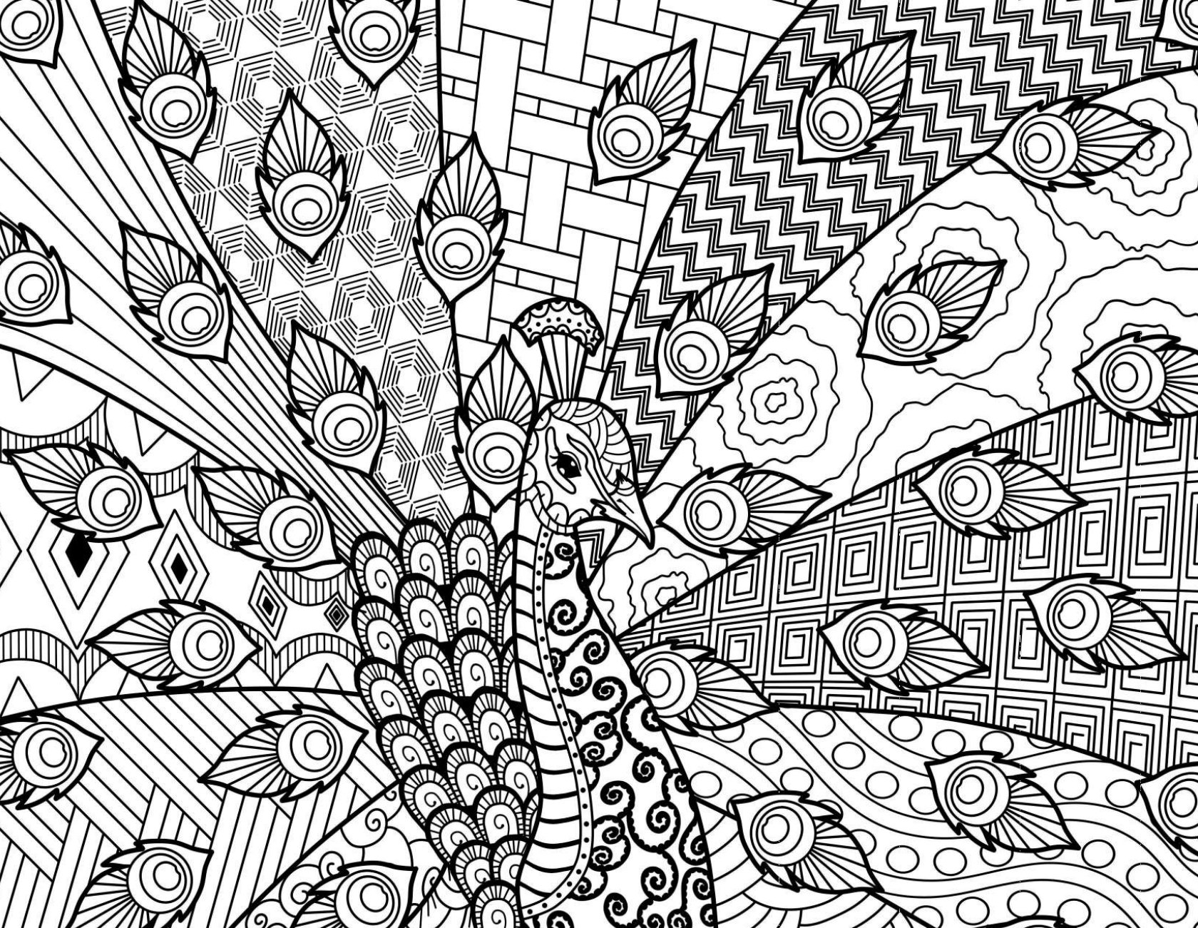 20 Intricate Zen Coloring Pages Etsy