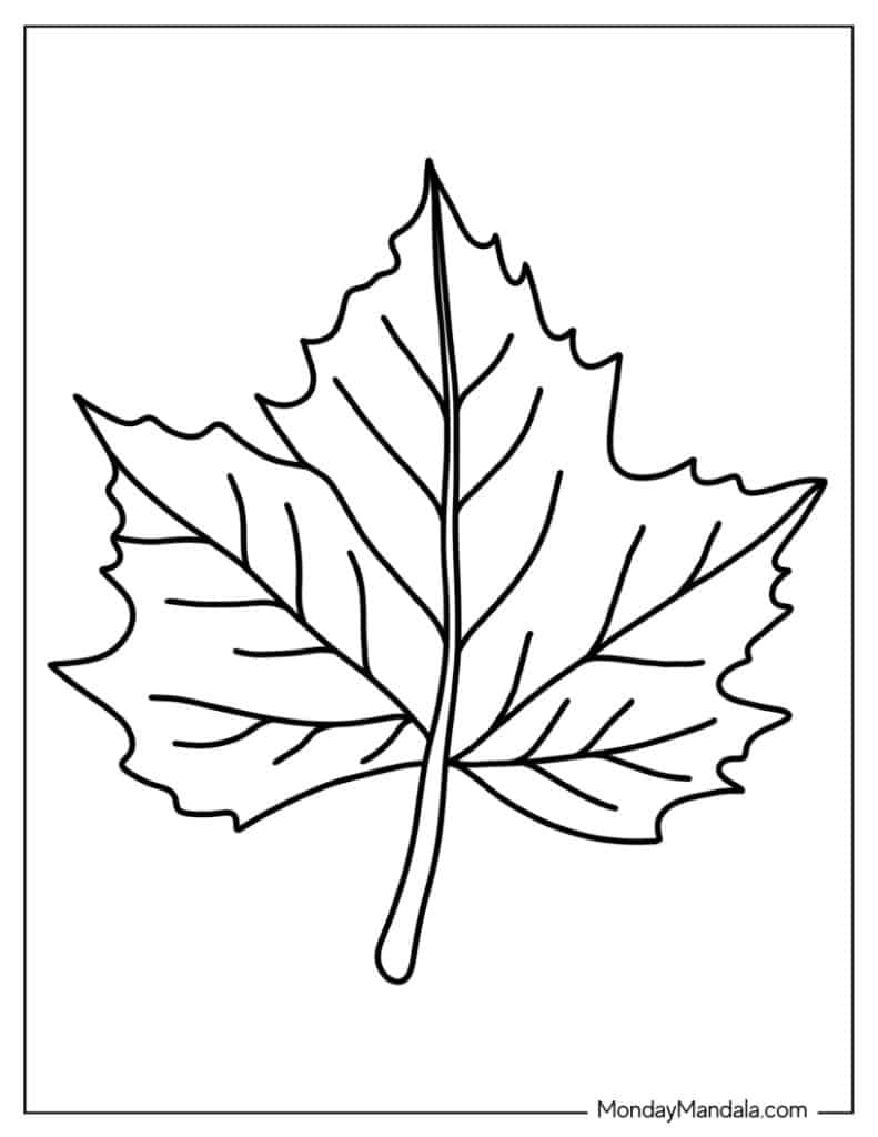 printable leaves to color