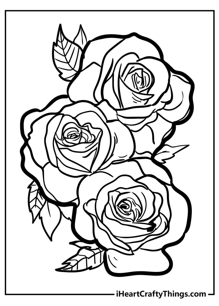 35 Rose Coloring Pages 100 Free To Download Print 