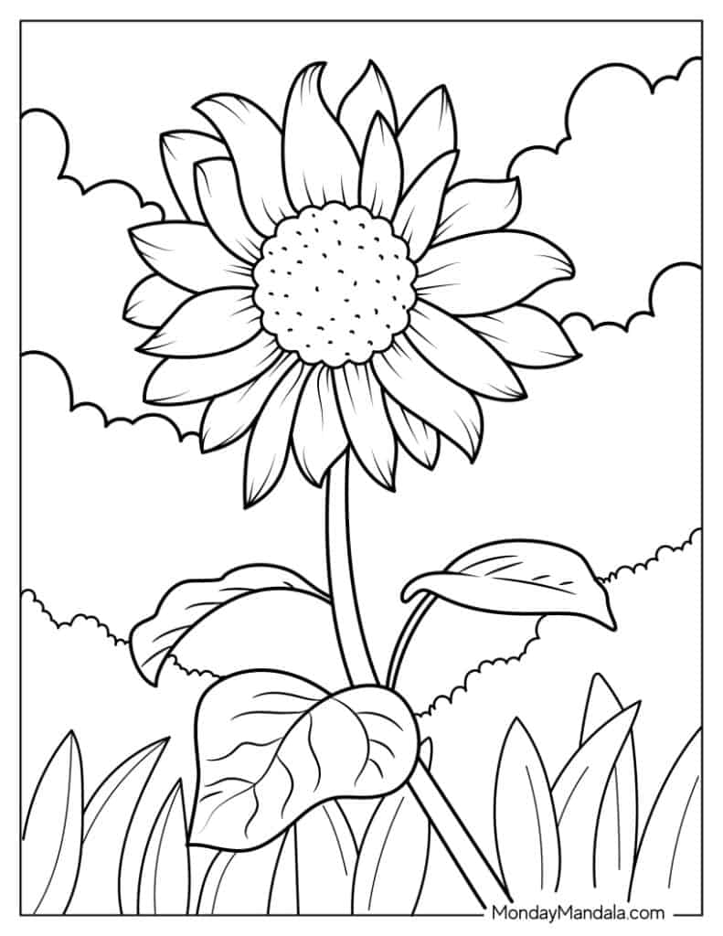 37 Daisy Coloring Pages Free PDF Printables 37 Daisy Coloring Pages Free PDF Printables