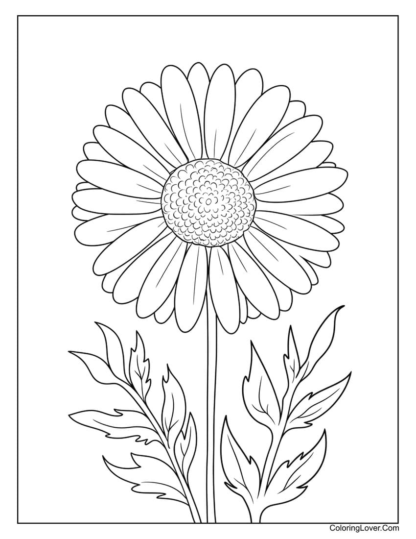 free printable daisy coloring pages free printable daisy coloring pages