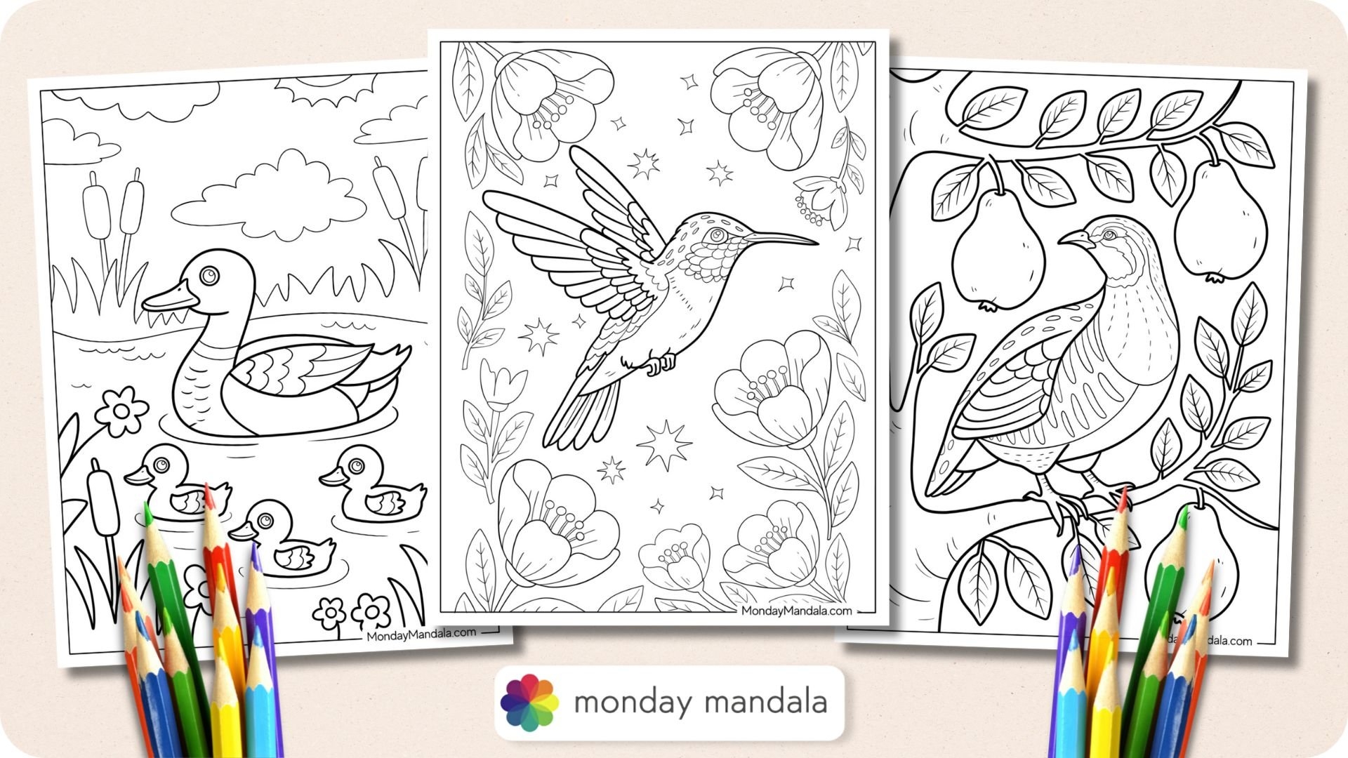 50 Bird Coloring Pages Free PDF Printables