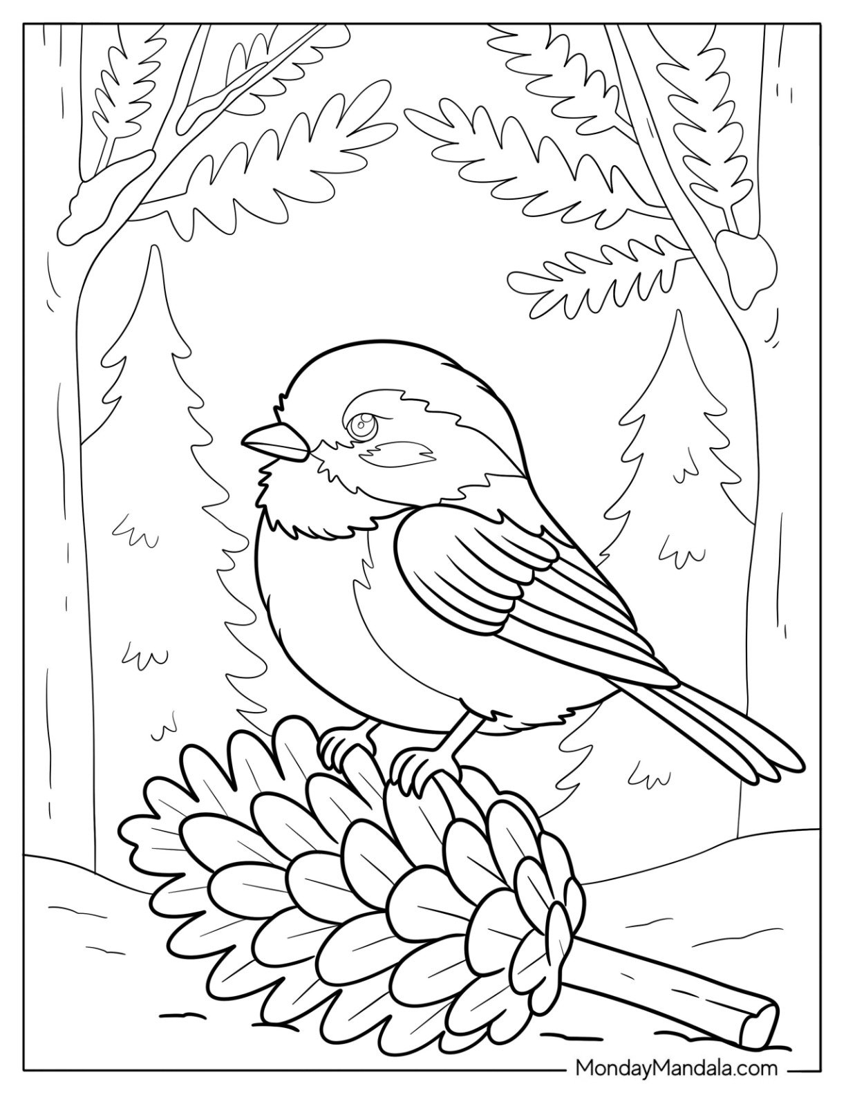 50 Bird Coloring Pages Free PDF Printables 