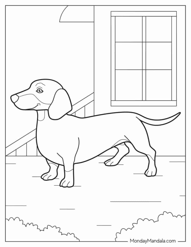 97 Dog Coloring Pages Free PDF Printables 