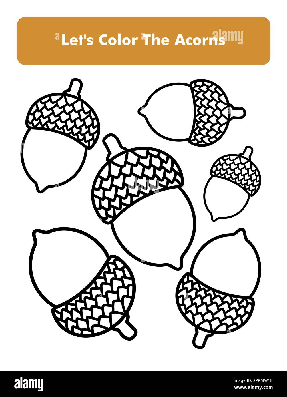 Acorns Coloring Book Page In Letter Page Size Children Coloring Worksheet Premium Vector Element Stock Photo Alamy