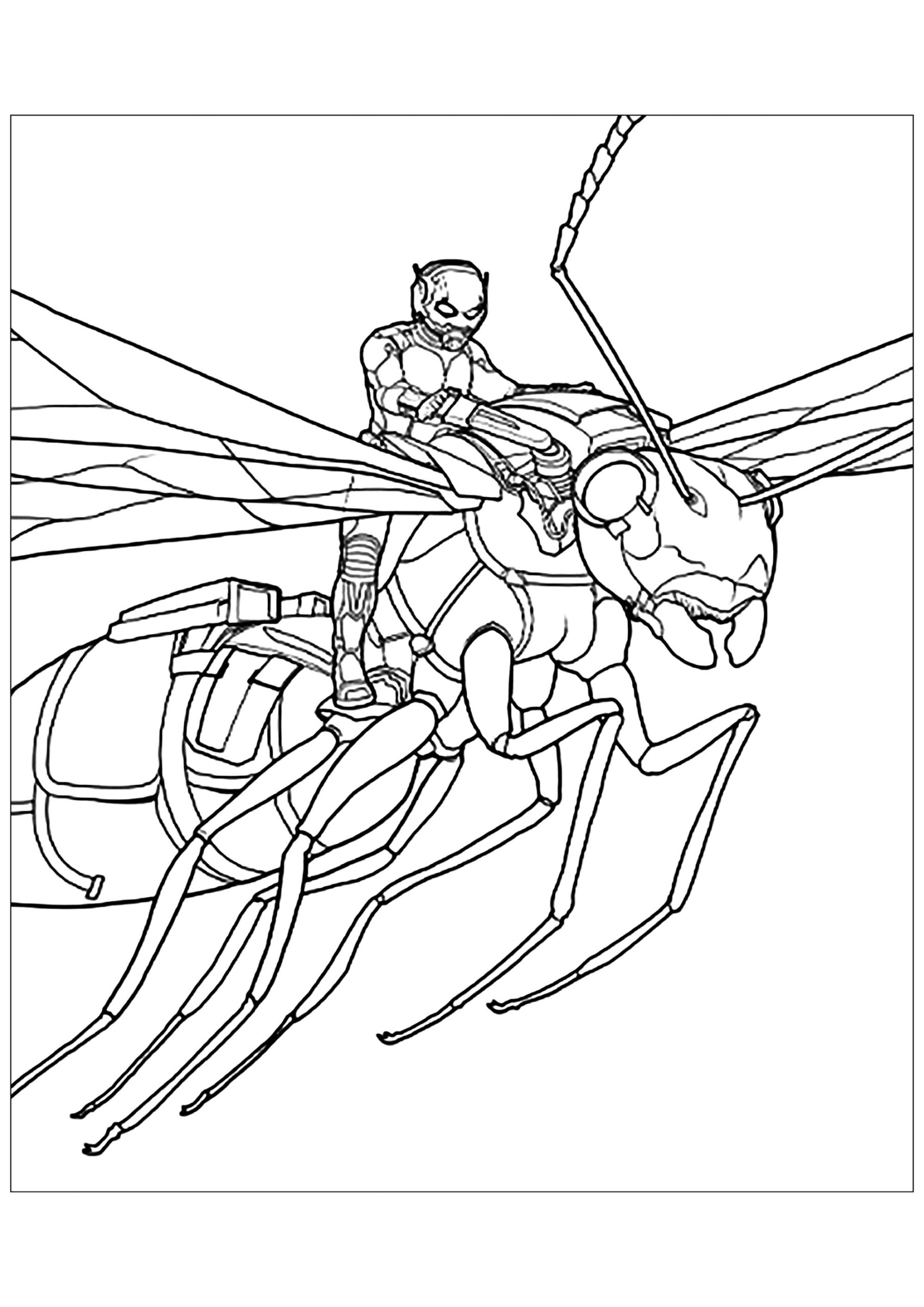 Ant Man Ant man Coloring Pages For Kids