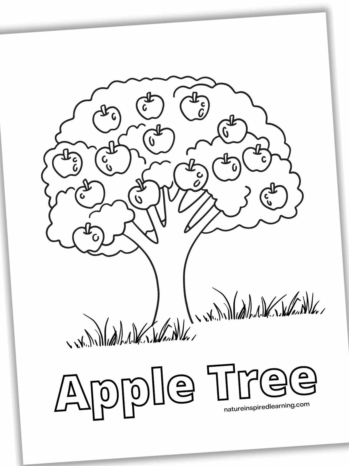 printable tree coloring page