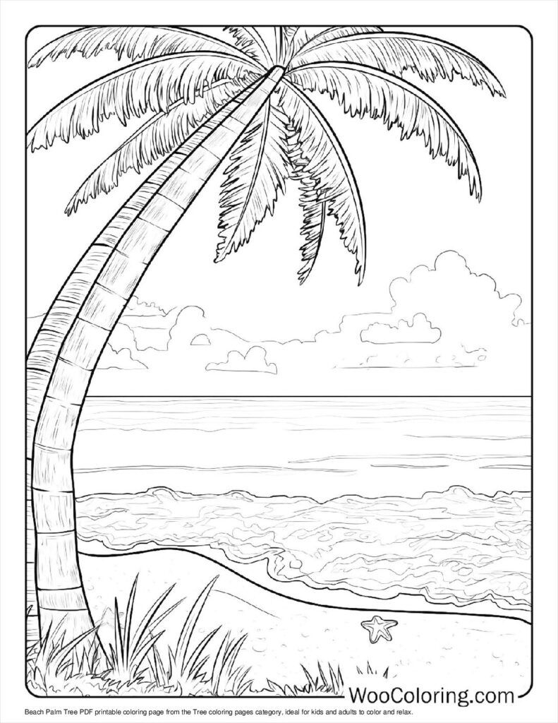 Beach Palm Tree Coloring In For Kids