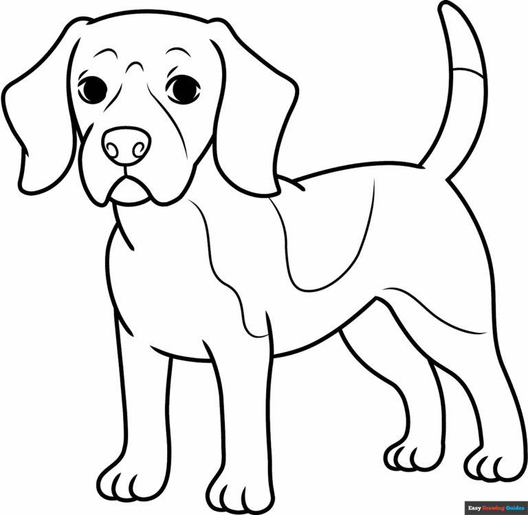 Beagle Coloring Page Easy Drawing Guides