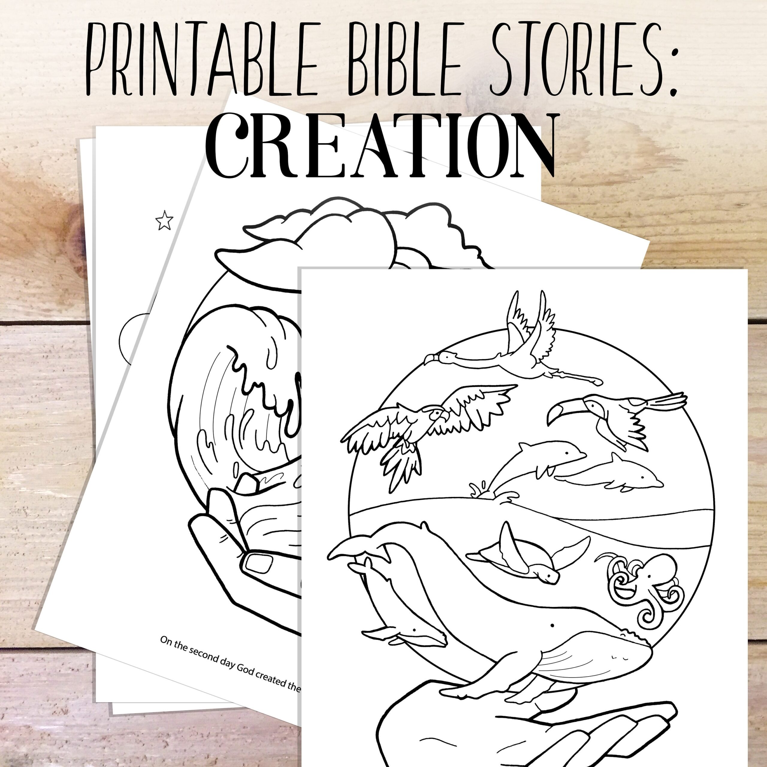 Bible Study Creation Story Kids Coloring Bible Printable Homeschool Family Bible Study Coloring Pages Etsy Bible Study Creation Story Kids Coloring Bible Printable Homeschool Family Bible Study Coloring Pages Etsy