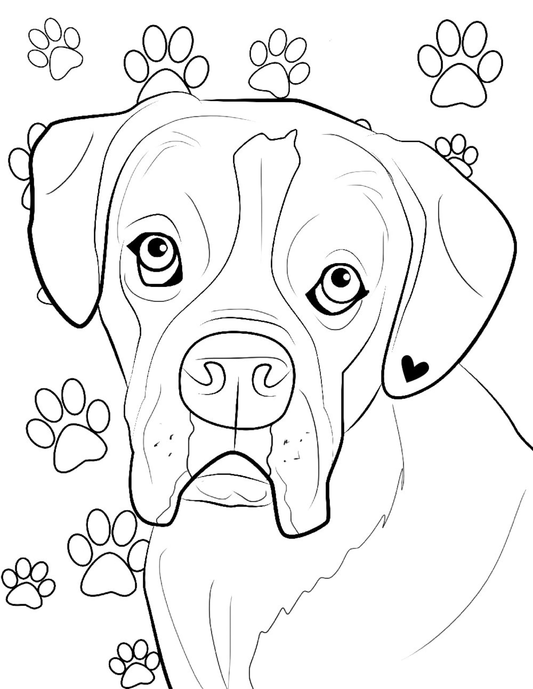 Boxer Boxer Coloring Page Coloring Books Coloring Page Etsy