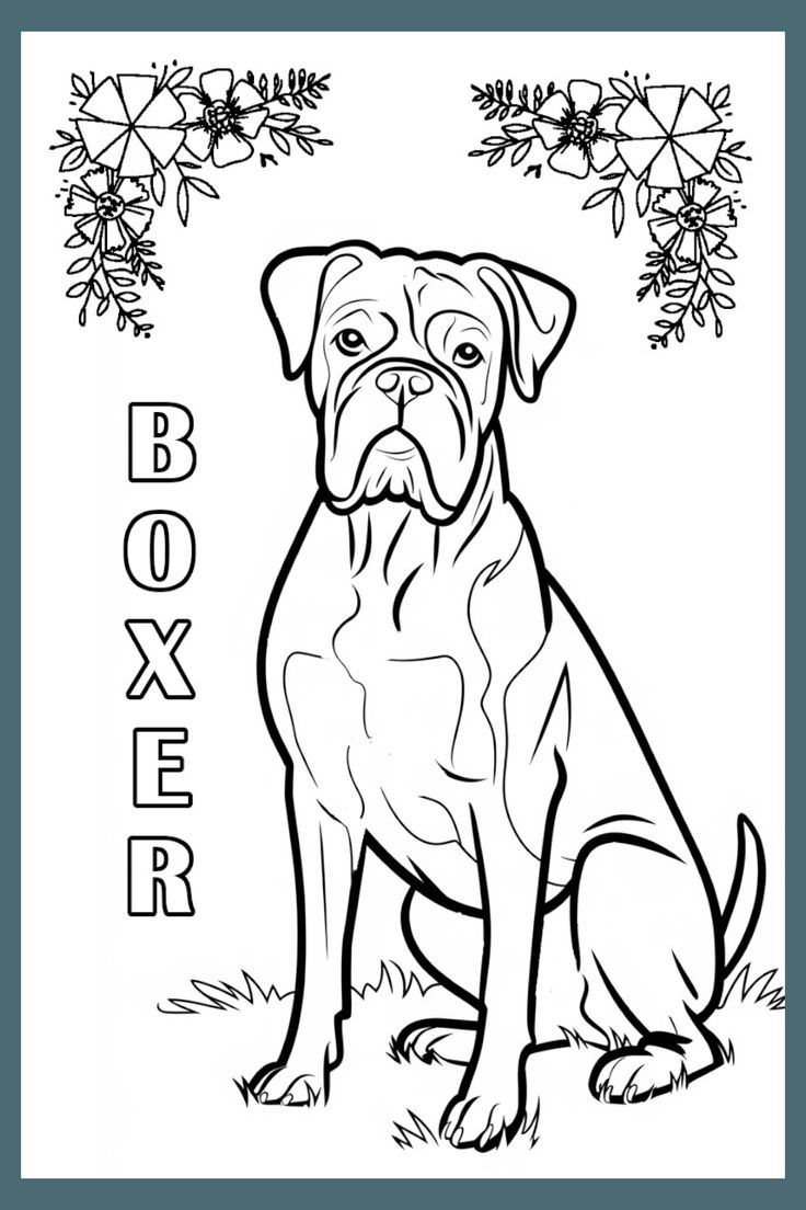 Boxer Dog Coloring Page