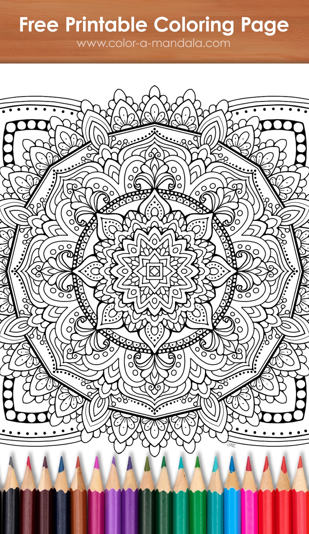 Challenge Yourself With An Intricate Mandala Coloring Page