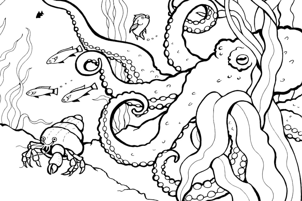 printable cool coloring pages printable cool coloring pages