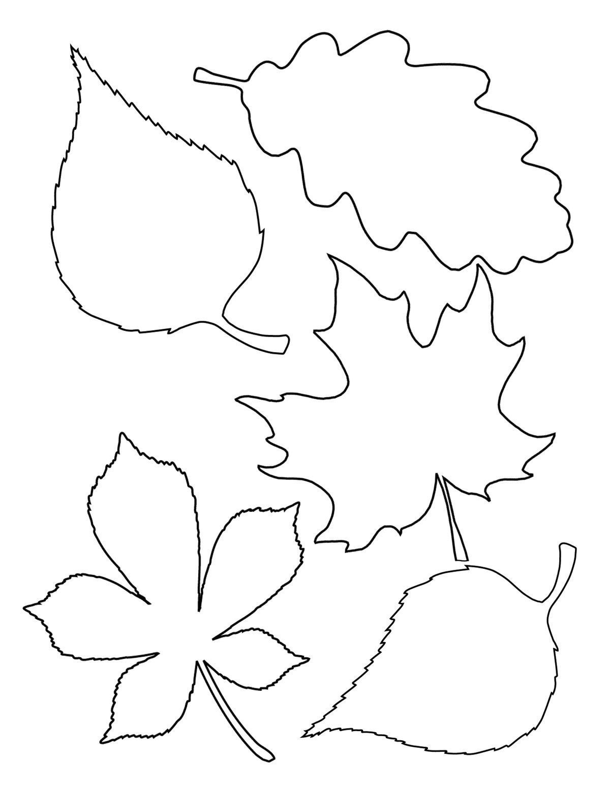 free printable fall leaf coloring pages