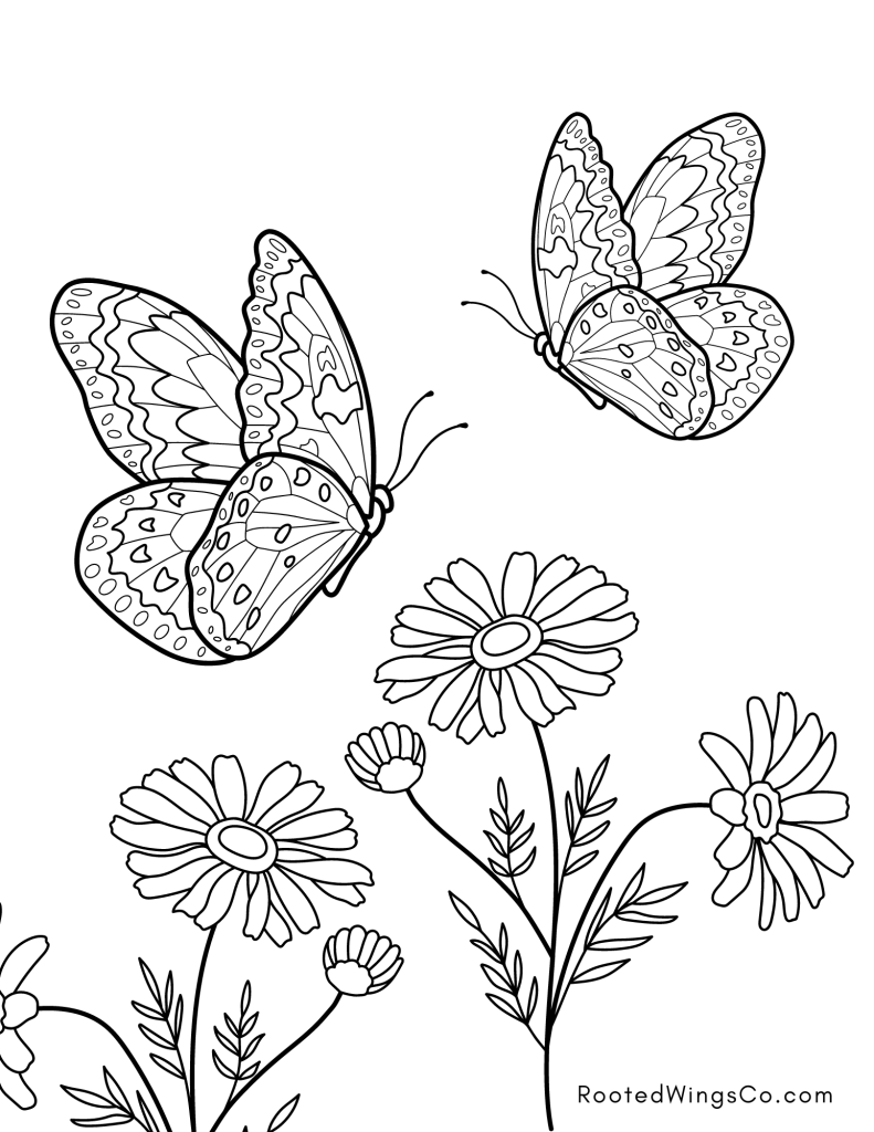 Free Butterfly Coloring Pages For Kids Or Adults