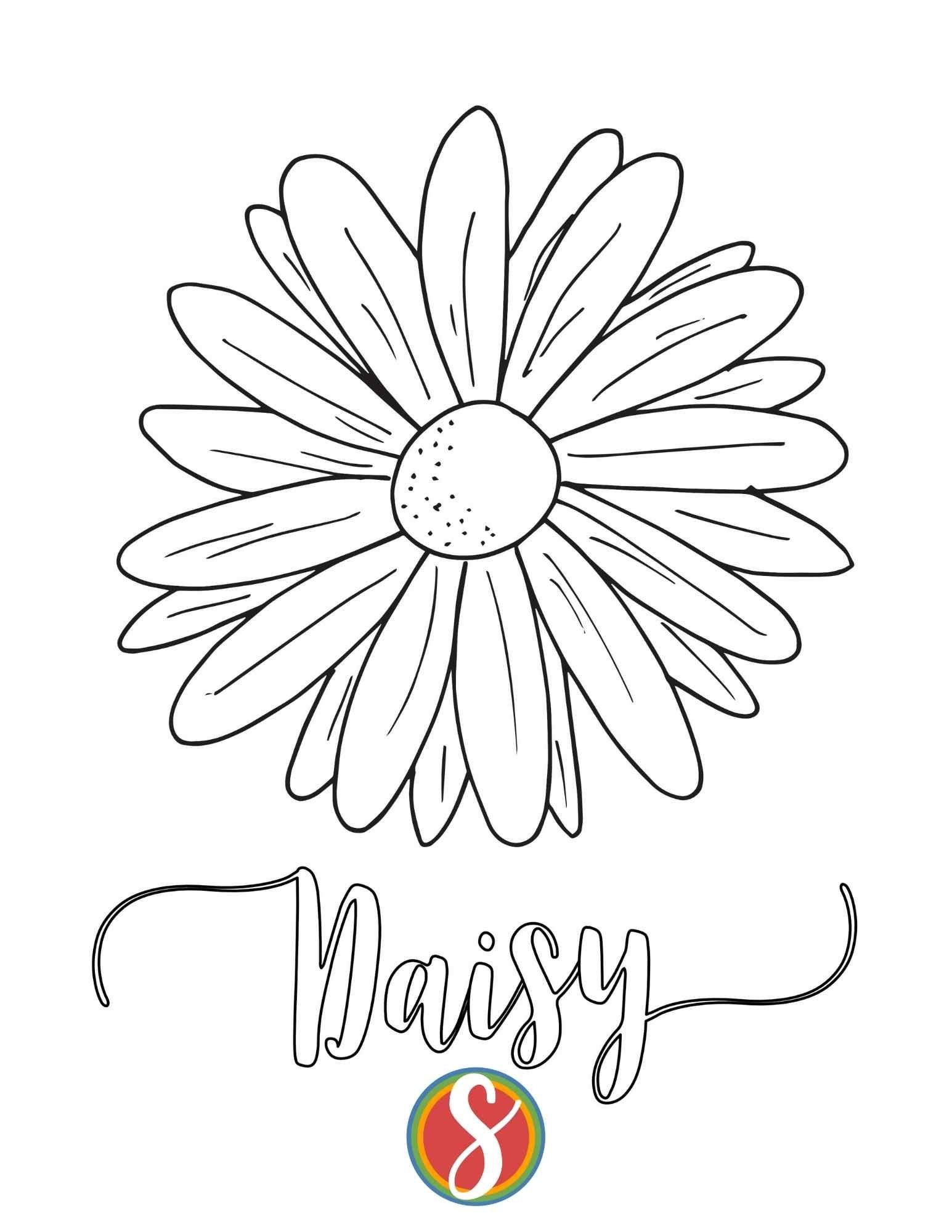 Free Daisy Coloring Pages Stevie Doodles