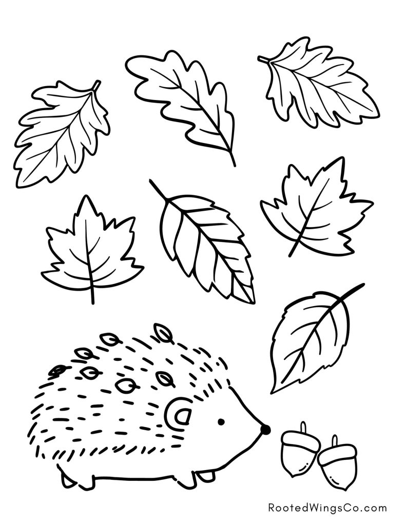 Free Fall Coloring Pages Rooted Wings Co