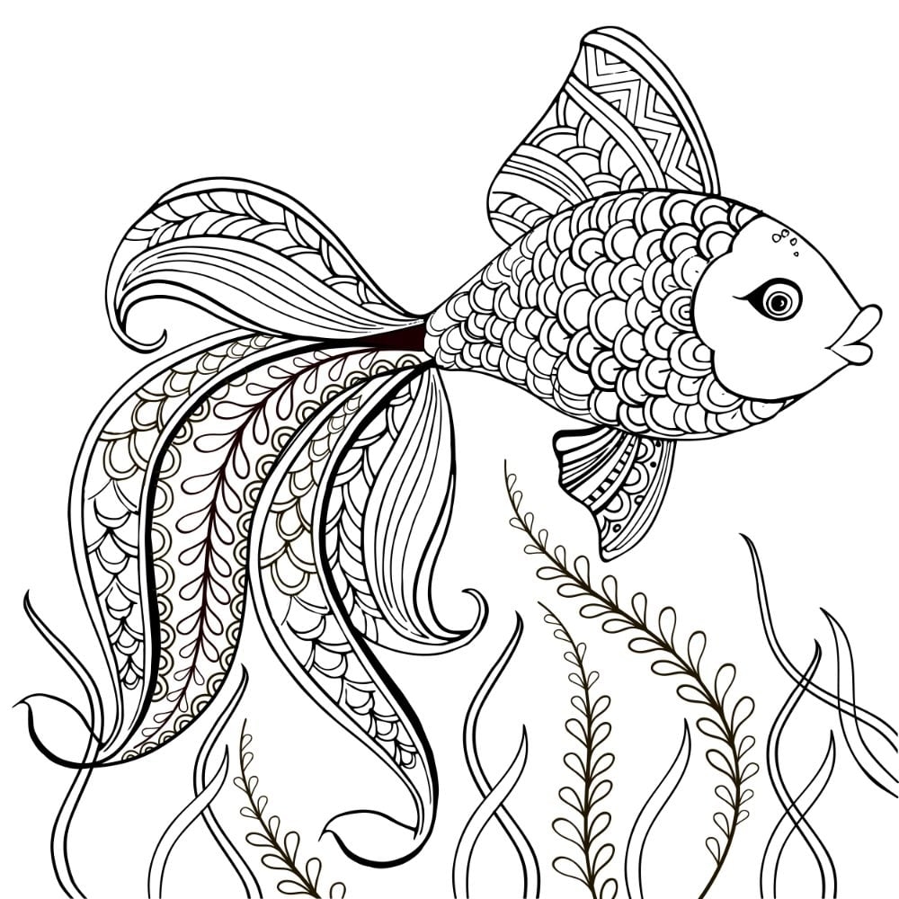 Free Fish Coloring Pages For Download Printable PDF Free Fish Coloring Pages For Download Printable PDF