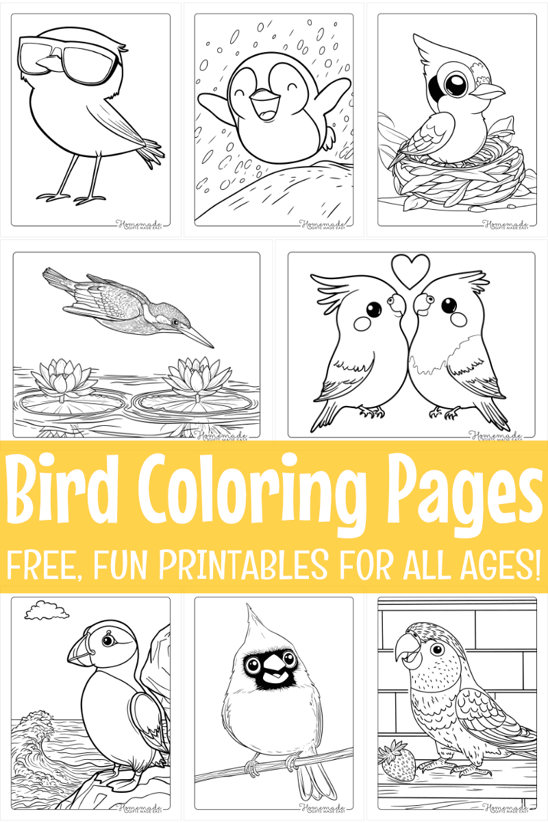 Free Printable Bird Coloring Pages For Kids Adults Free Printable Bird Coloring Pages For Kids Adults