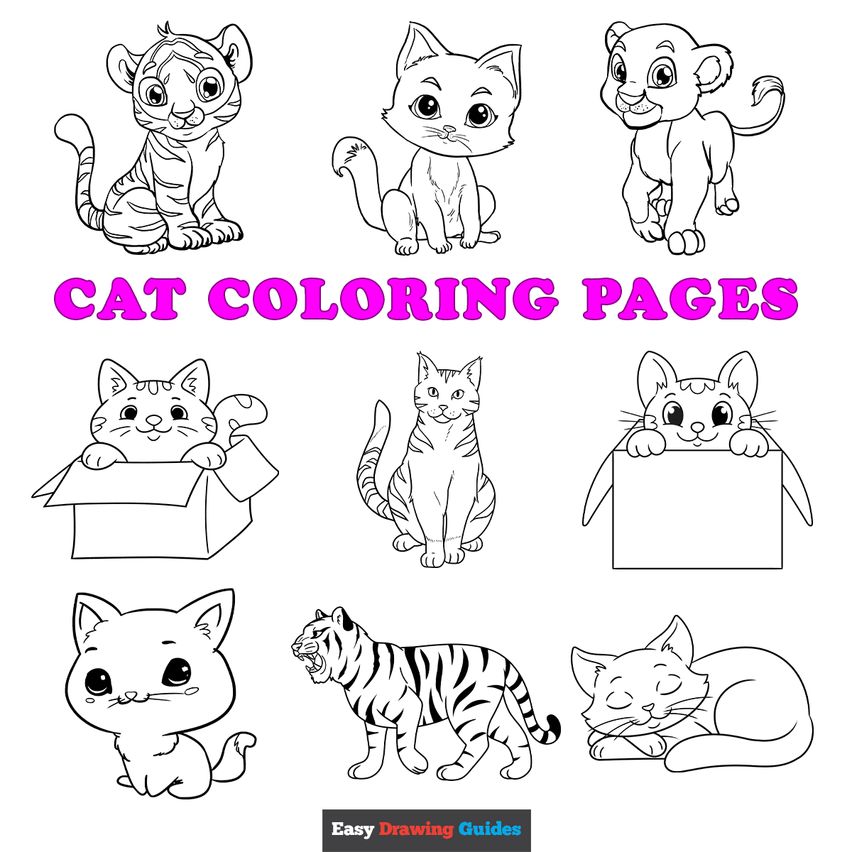 Free Printable Cat Coloring Pages For Kids
