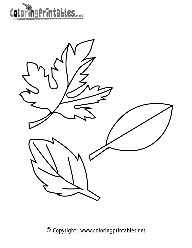 Free Printable Fall Leaves Coloring Page