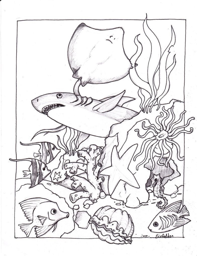 printable coloring pages of sea animals printable coloring pages of sea animals