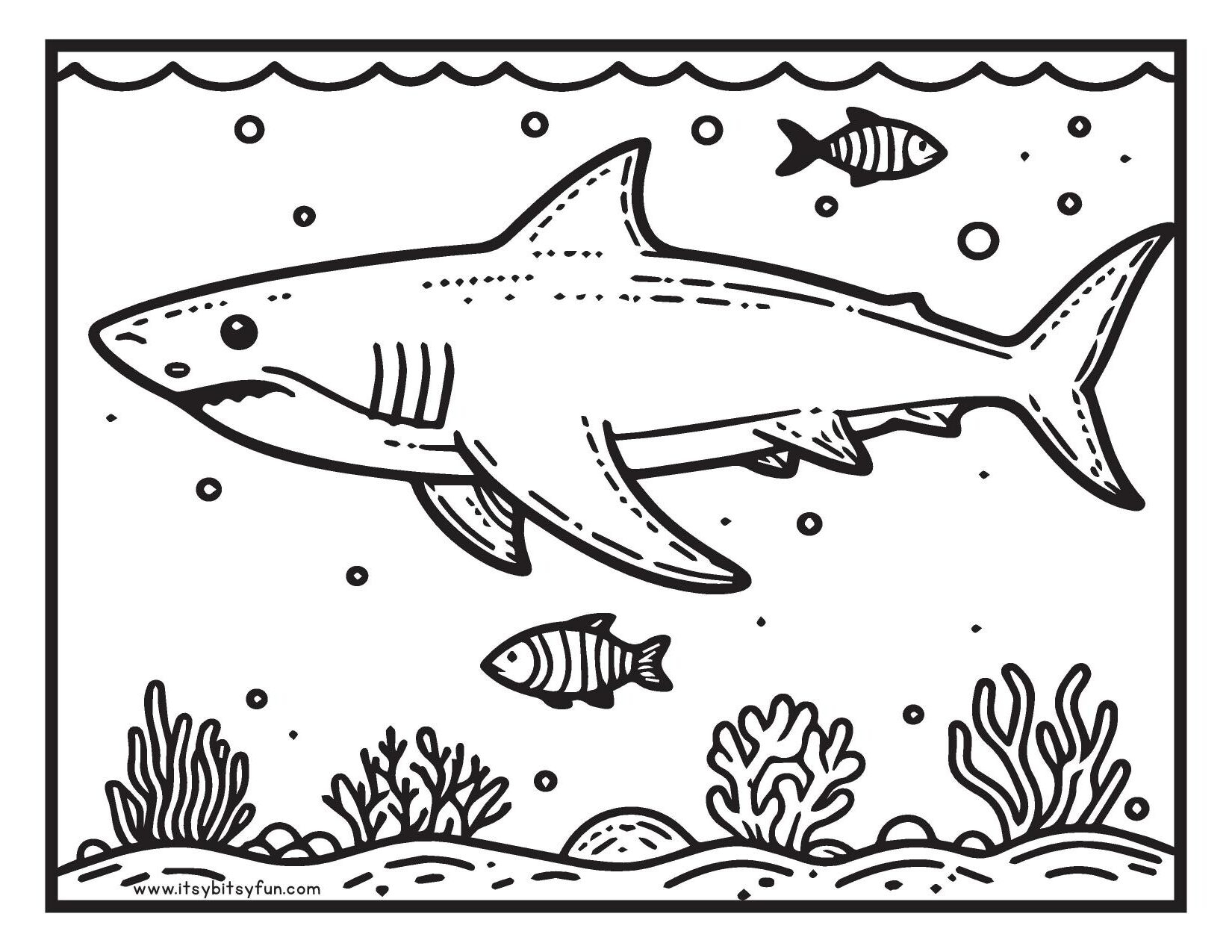 shark coloring pages free printable