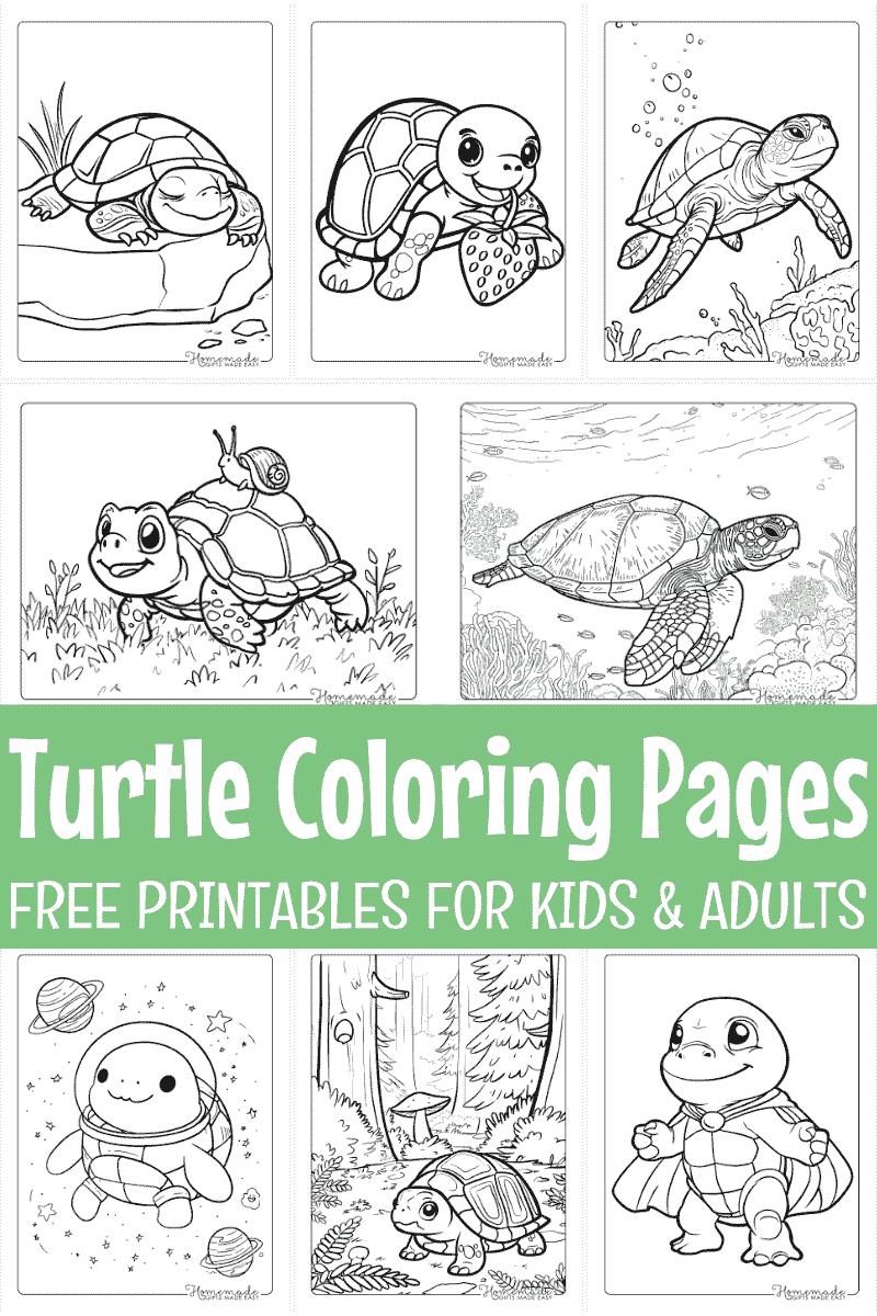 sea turtle coloring pages printable