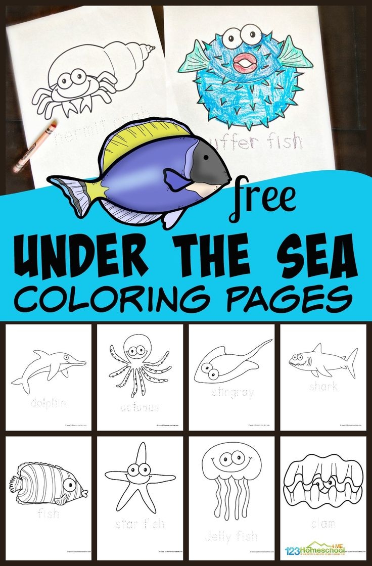 FREE Printable Under The Sea Fish Ocean Animals Coloring Pages FREE Printable Under The Sea Fish Ocean Animals Coloring Pages