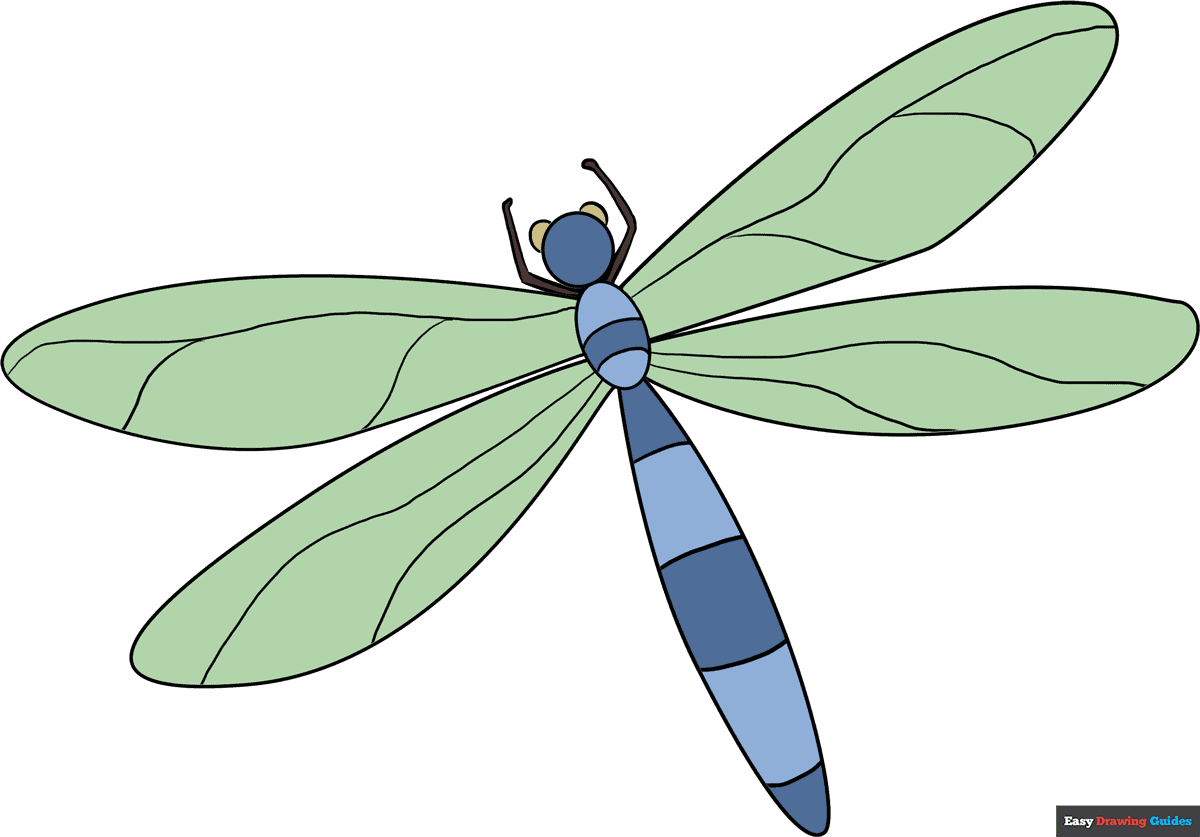 printable colored pictures of dragonflies