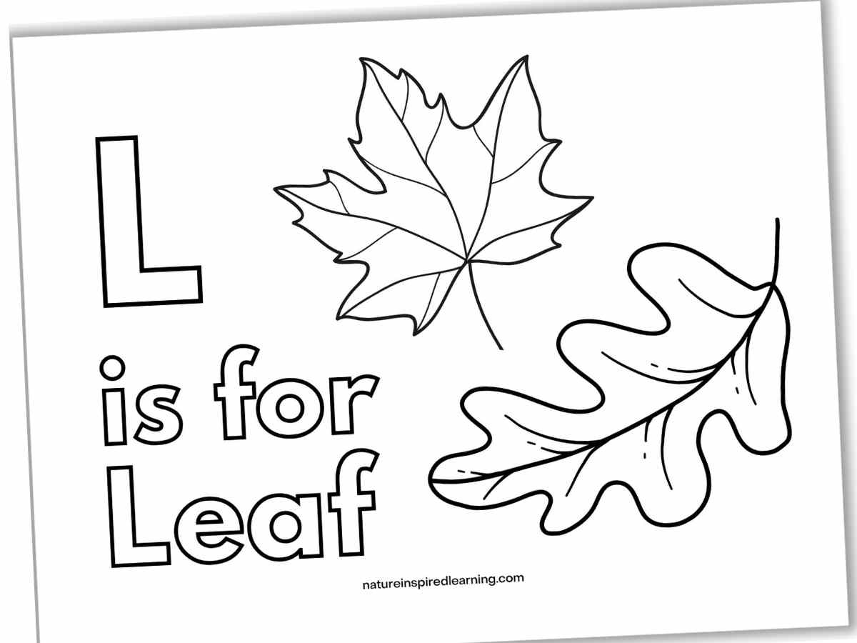 Leaf Coloring Pages Nature Inspired Learning
