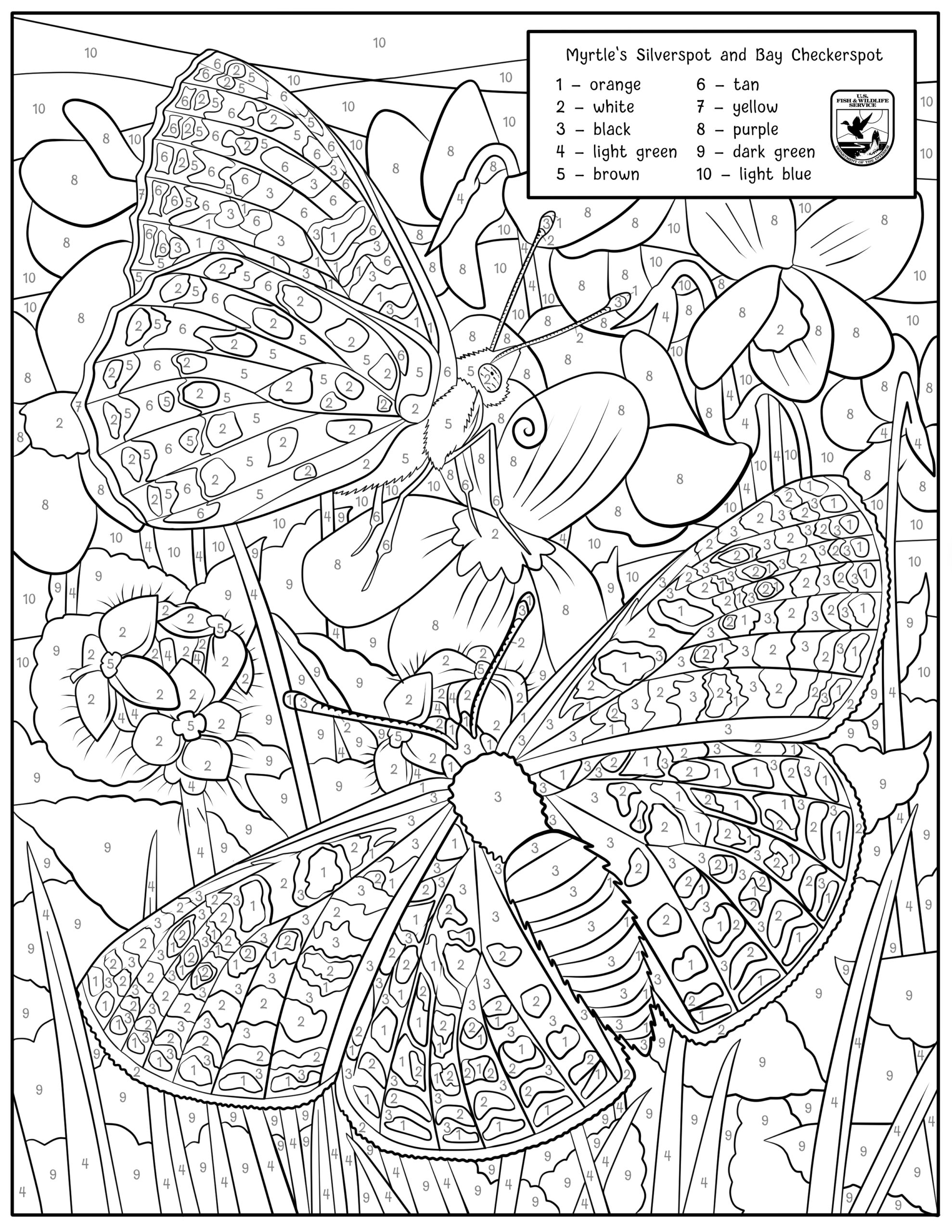 Myrtle s Silverspot And Bay Checkerspot Color by number FWS gov Myrtle s Silverspot And Bay Checkerspot Color by number FWS gov