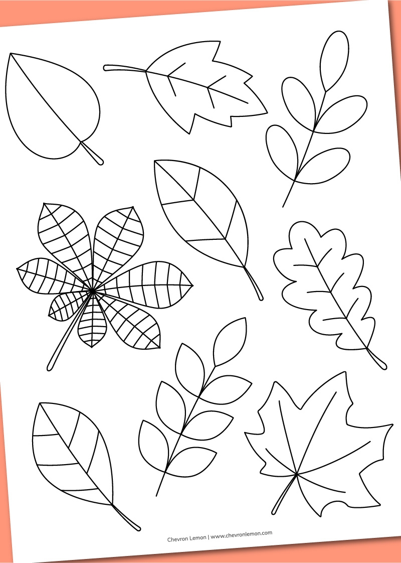 Printable Fall Leaves Coloring Page Chevron Lemon