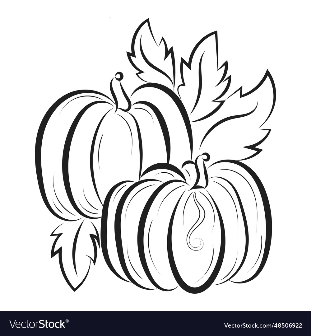 Printable Pumpkin Coloring Pages For Kids Vector Image Printable Pumpkin Coloring Pages For Kids Vector Image