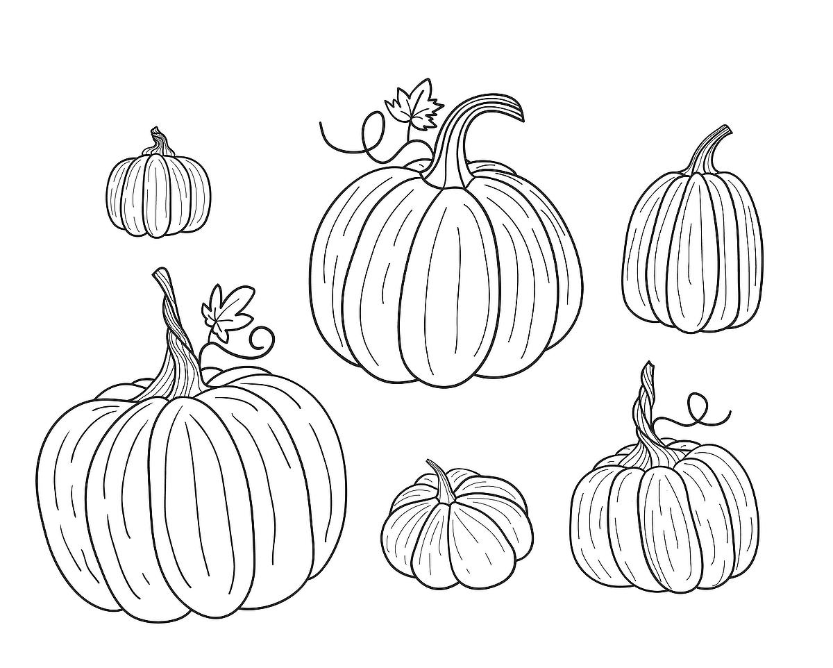 Pumpkin Coloring Pages Fun Printable Coloring Pages Of Pumpkins That Celebrate Fall Printables 30Seconds Mom