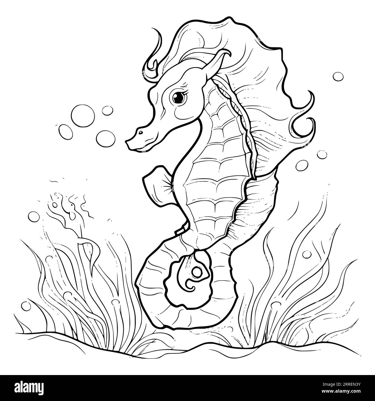 free printable seahorse coloring pages free printable seahorse coloring pages