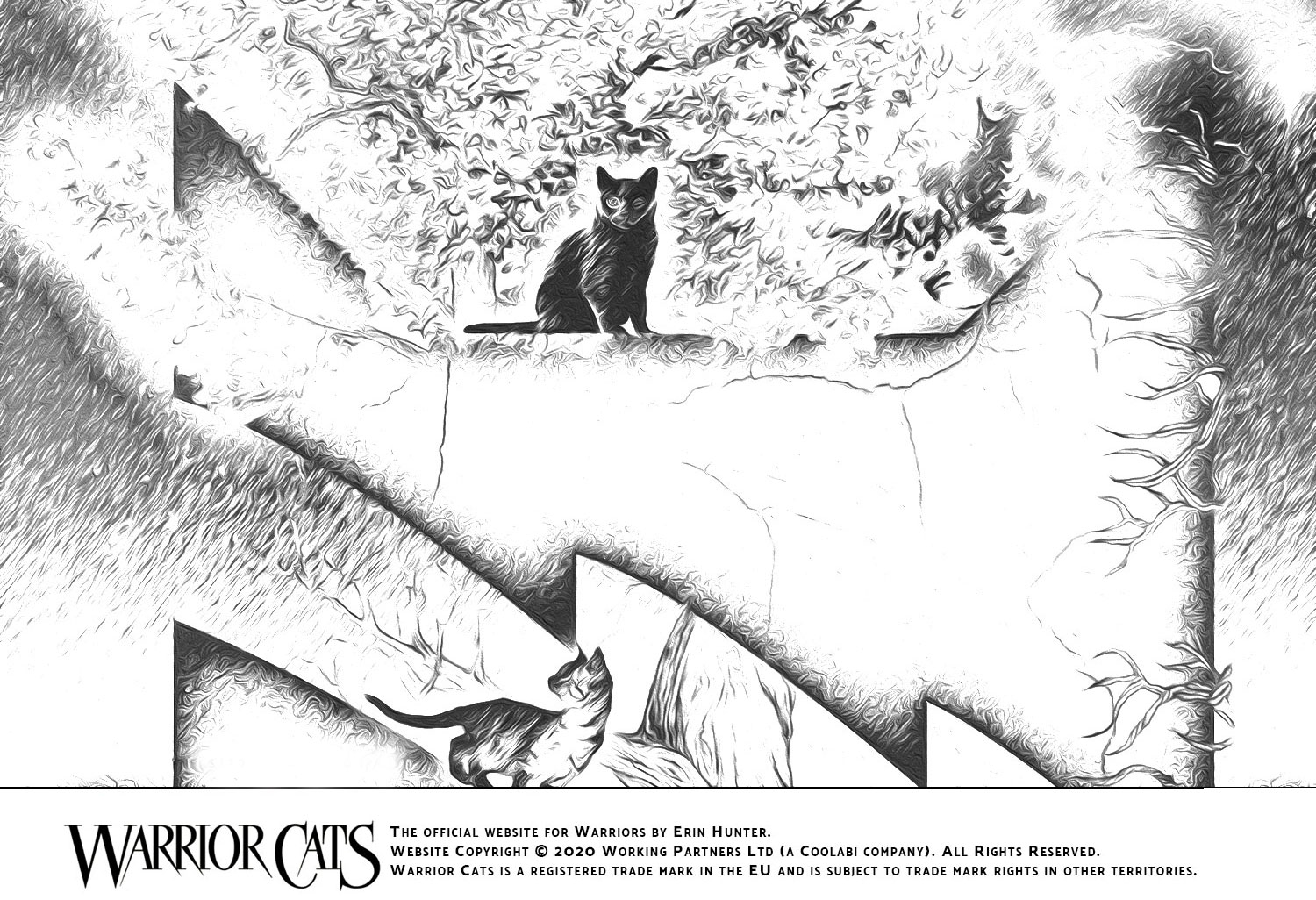 printable warrior cats coloring pages