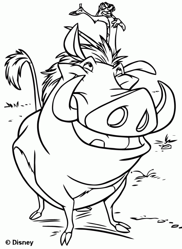 Timon And Pumbaa The Lion King Coloring Pages
