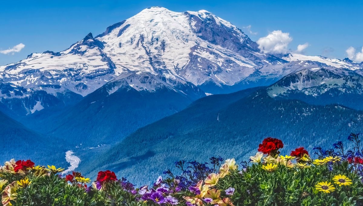 Washington s Mount Rainier May Be Shrinking As Ice Melts IFLScience Washington s Mount Rainier May Be Shrinking As Ice Melts IFLScience